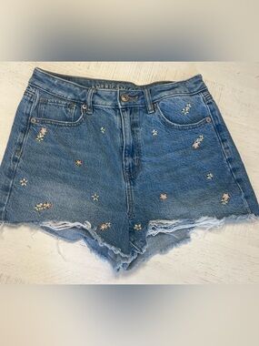 American Eagle Outfitters Blue Denim Mom Shorts with Floral Embroidery